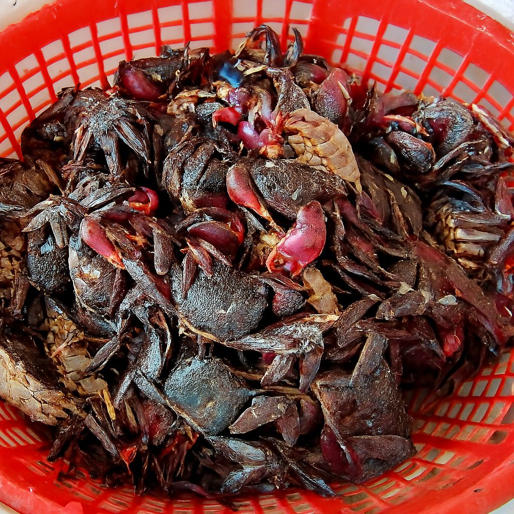 Chất lượng nguyên liệu