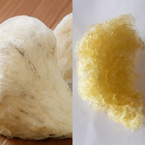 Tổ yến giả làm từ gì?