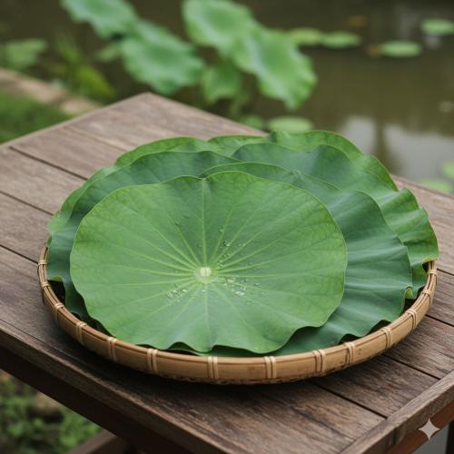 Thành phần và nguồn gốc