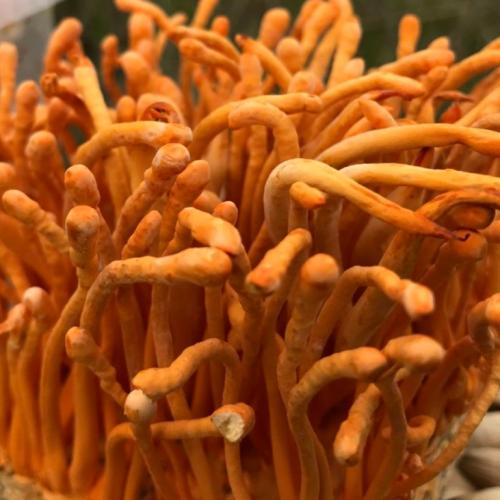 Thời điểm uống tốt nhất