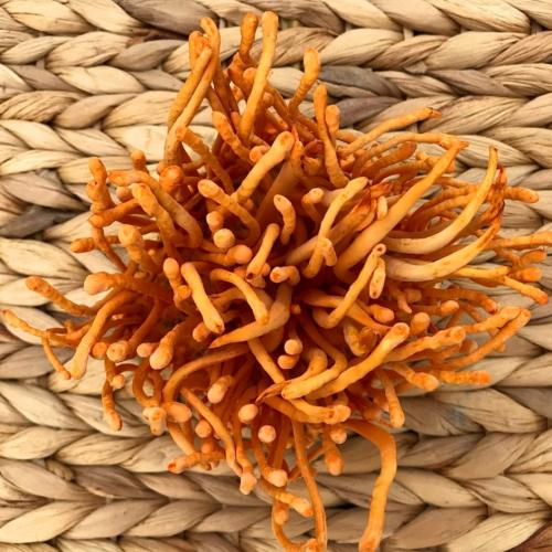 Có thể dùng hàng ngày không?