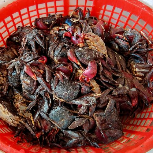 Ba khía nặng khoảng 150g/con