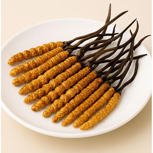 Hình dáng tổng thể