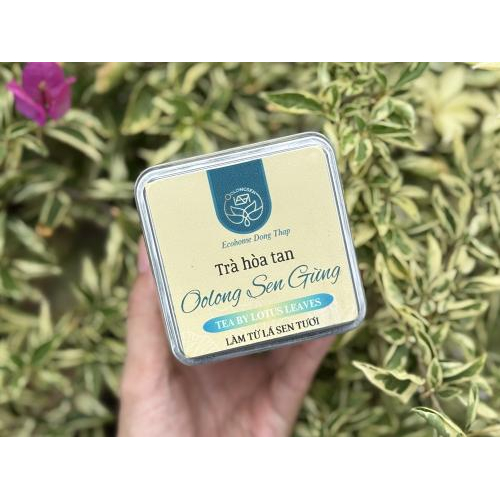 Trà Oolong Sen Gừng Tinh Hoa Nông Sản Việt
