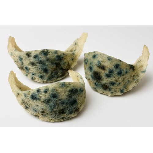 Làm sao để biết tổ yến khô đã bị hư?