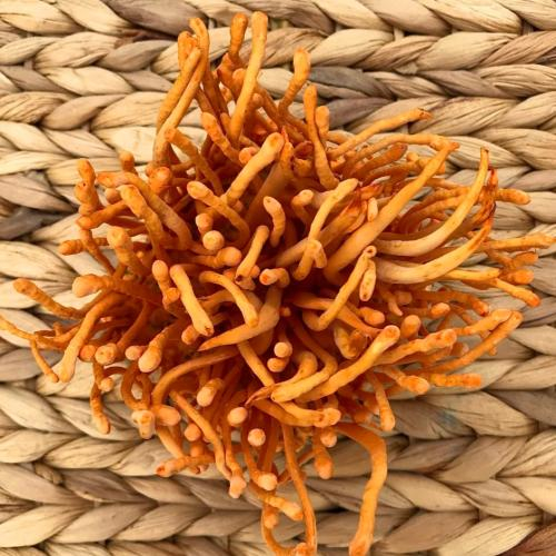 Bảo quản lạnh (đối với loại tươi)