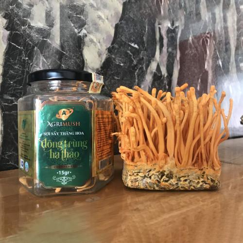 Đa dạng sản phẩm