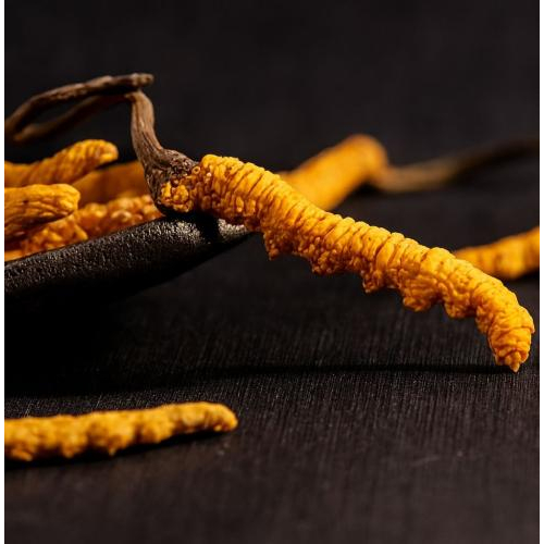 Không nấu ở nhiệt độ quá cao