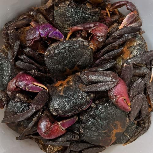 Nguy cơ ngộ độc thực phẩm