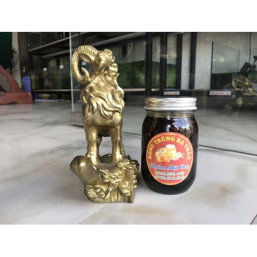 Có nên uống đông trùng hạ thảo ngâm mật ong thường xuyên không?