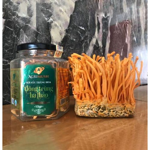 Hình dáng, kết cấu