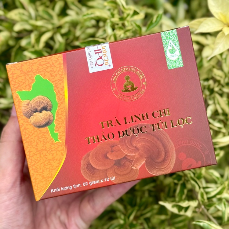 Trà linh chi là gì?