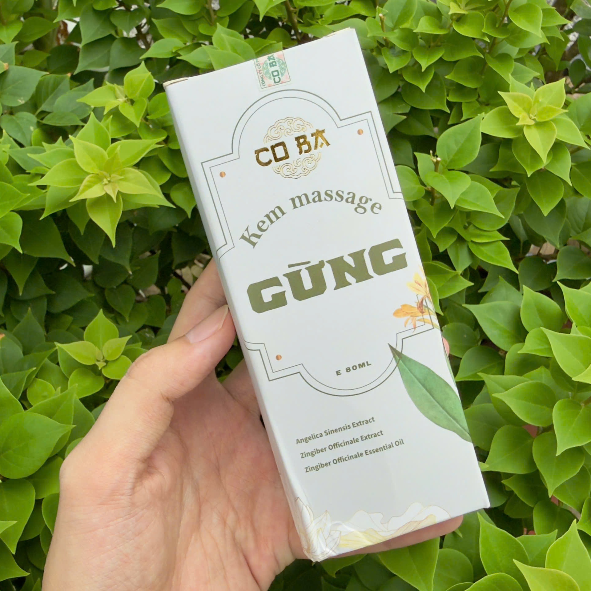 Giới thiệu về kem massage gừng Co Ba