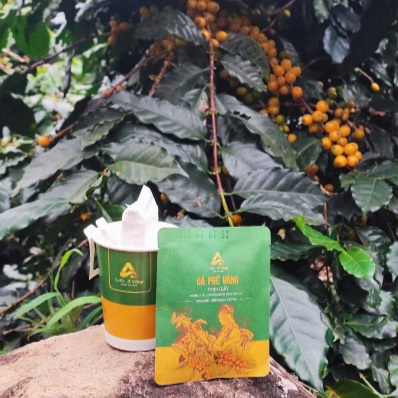 Tại sao lại gọi là cà phê vàng?