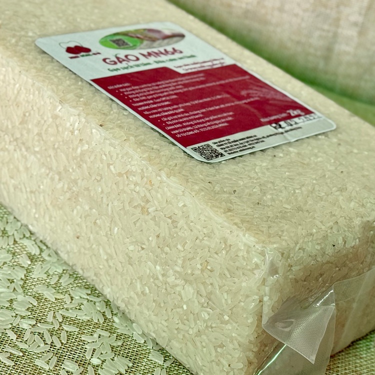 Phù hợp với cho người không dung nạp gluten