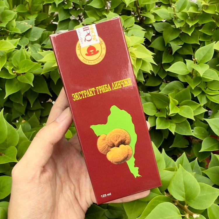 Uống cao linh chi vào lúc nào là tốt nhất?