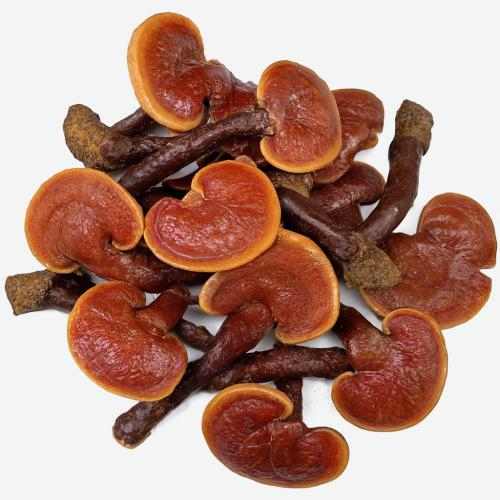 Ổn định đường huyết