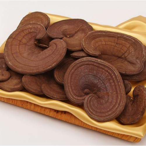 Độ cứng của tai nấm