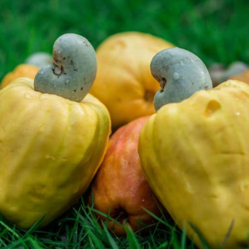 Giảm nguy cơ bị bệnh tim