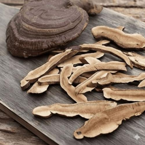 Các vùng trồng linh chi đỏ nổi tiếng tại Việt Nam