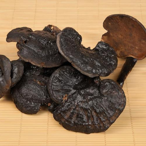 Nấm Linh Chi Đen Là Gì? Nấm Linh Chi Đen Có Tác Dụng Gì?