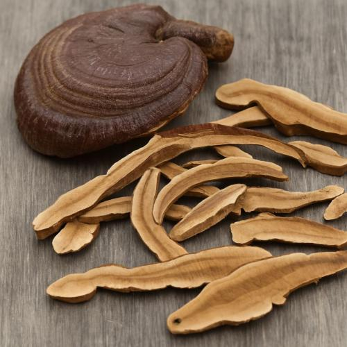 Nấm linh chi có hạn sử dụng bao lâu?