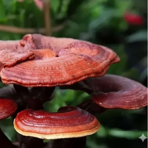 Giúp bạn chìm vào giấc ngủ dễ dàng