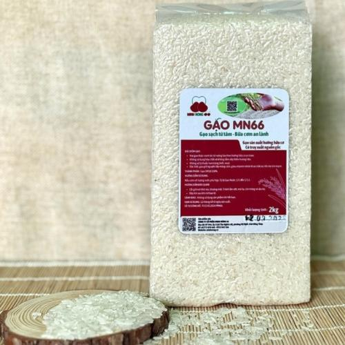 Ăn gạo MN66 có tăng cân không?