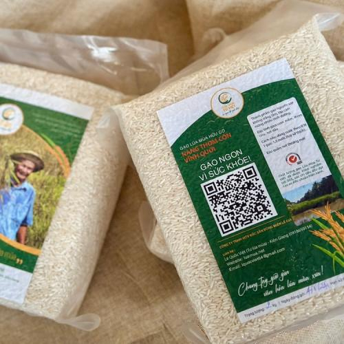 Hướng dẫn vo gạo đúng cách cho gạo Nàng Thơm