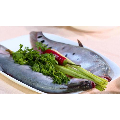 Bảo quản đông lạnh