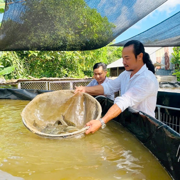 Thịt cá chạch lấu