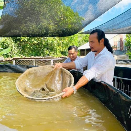 Thịt cá chạch lấu