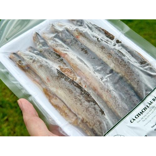 Điểm Danh Người Không Nên Ăn Lươn, Chạch - Bạn Cần Biết