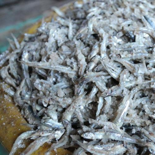 Giá trị dinh dưỡng của cá cơm