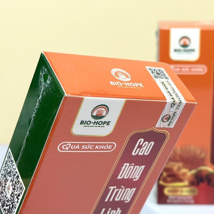 Cao đông trùng linh chi là gì?