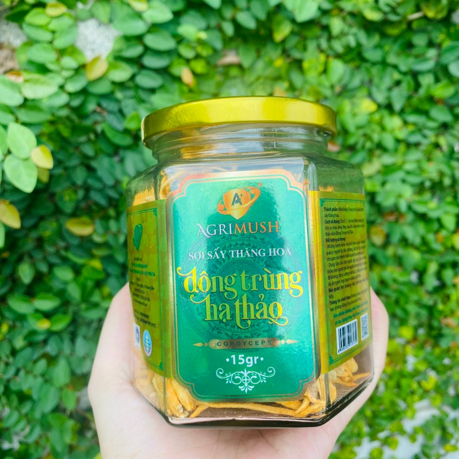 Giúp cơ thể hấp thụ dinh dưỡng