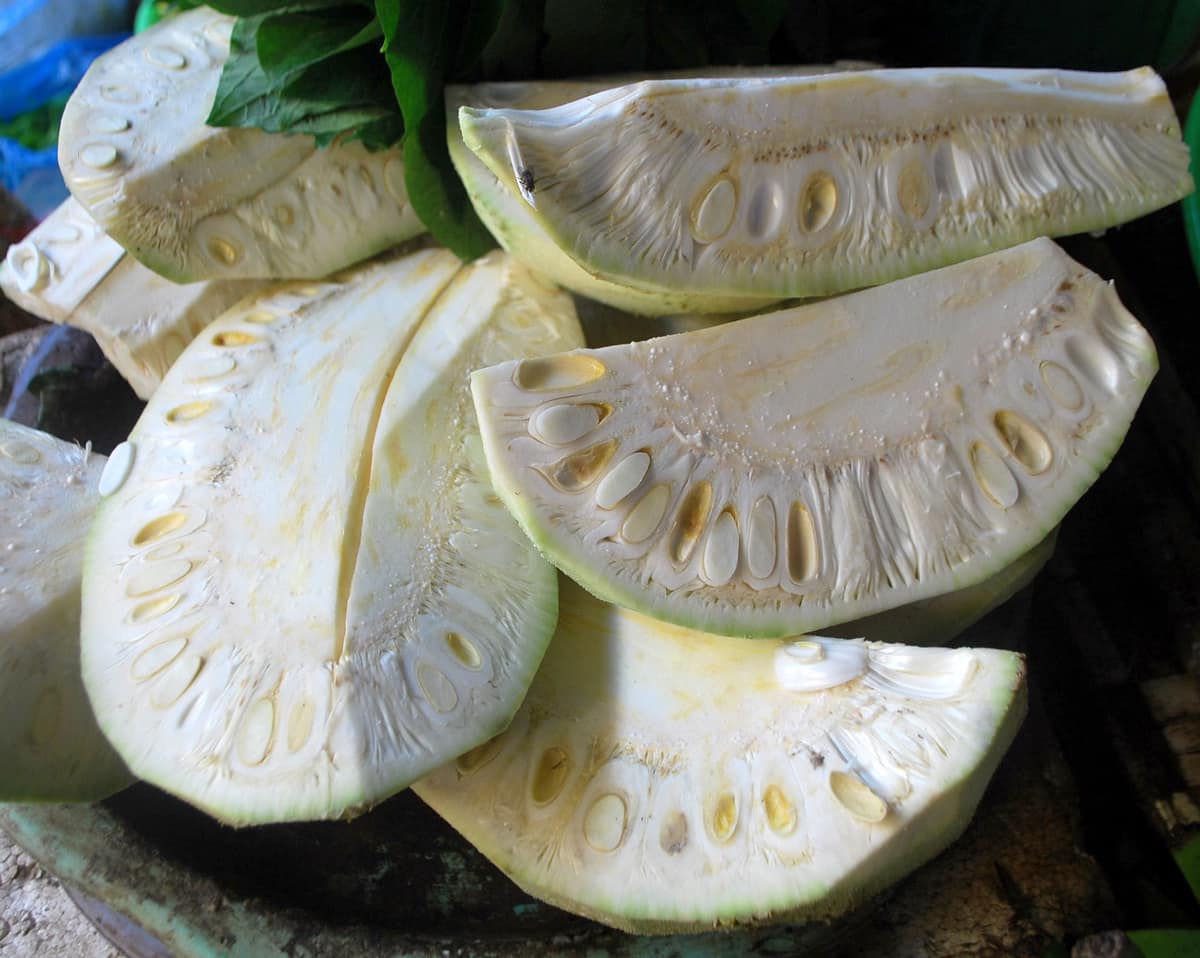 8. Mít non chứa bao nhiêu calo?