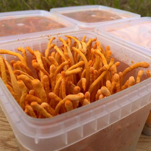 1. Giữ các dưỡng chất tối đa