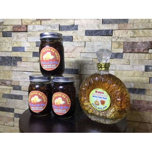 Ngâm đông trùng với mật ong