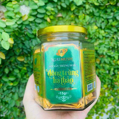 Giúp cơ thể hấp thụ dinh dưỡng