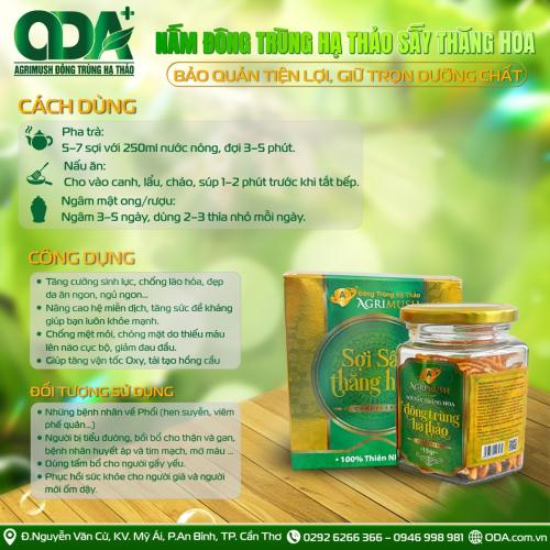 Công dụng của đông trùng hạ thảo sấy thăng hoa