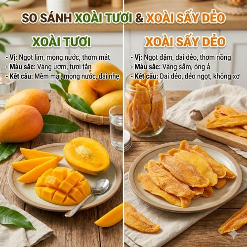 So sánh Xoài Tươi Và Xoài Sấy Dẻo – Nên Chọn Loại Nào?