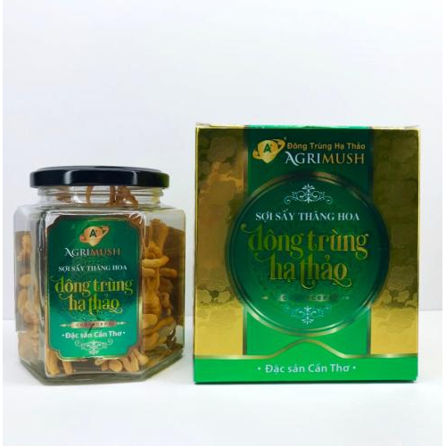 1. Đông trùng hạ thảo có lợi và bảo vệ gan và thận