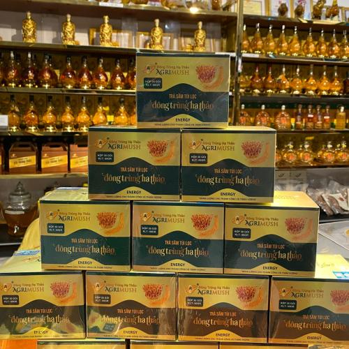 Có thể dùng  trà sâm đông trùng hạ thảo để ngừa cảm cúm không?