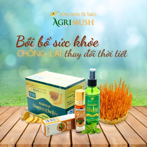 7 Tác Dụng Nổi Bật Của Trà Sâm Đông Trùng Hạ Thảo Bạn Nên Biết