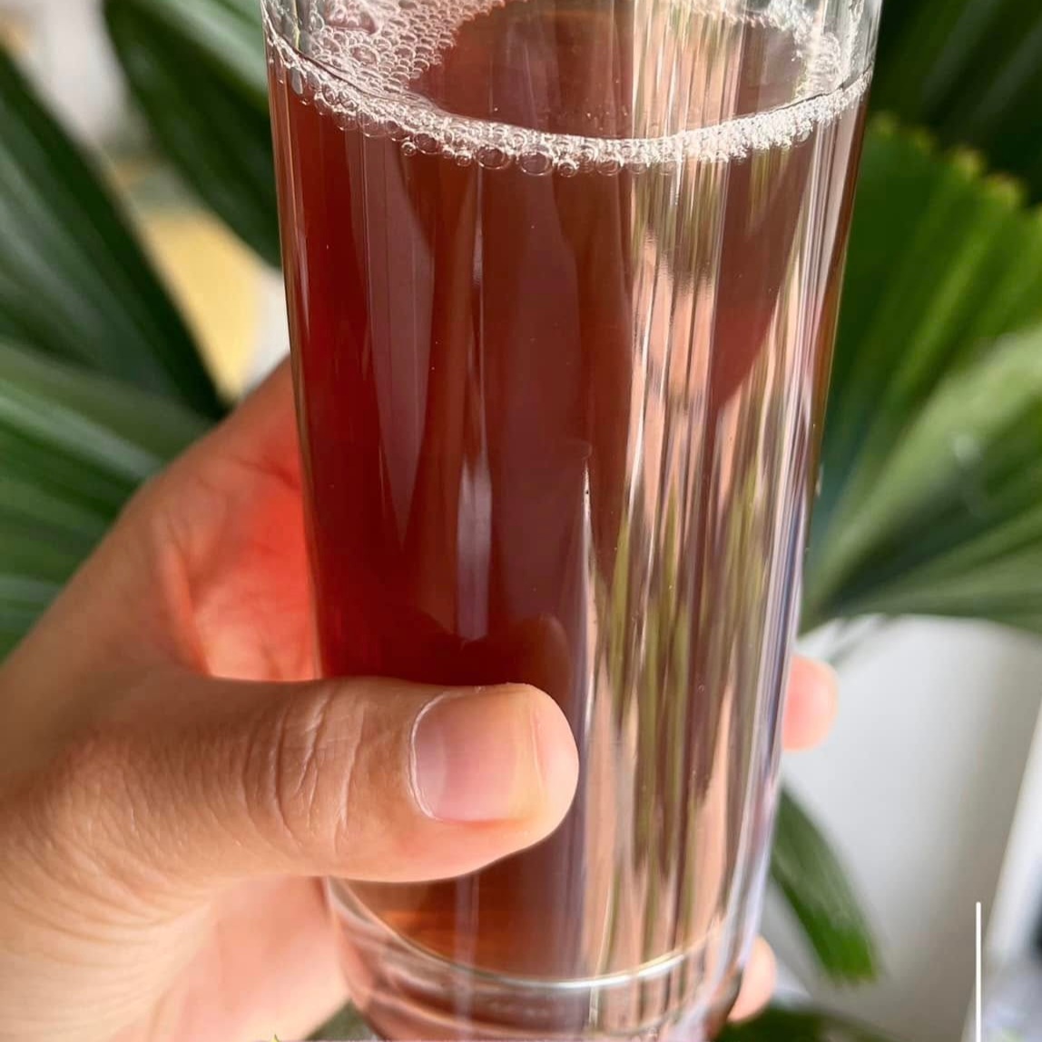 1. Cung cấp chất xơ