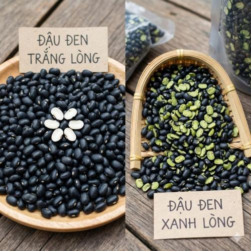1. Hình dáng và kích thước hạt