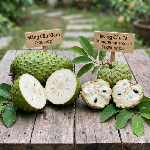 3. Cung cấp năng lượng dồi dào, giảm mệt mỏi