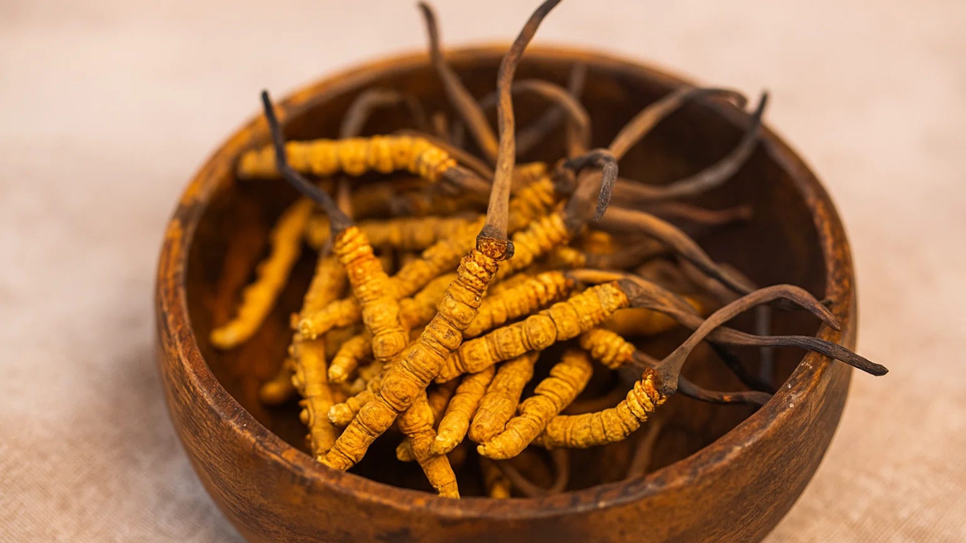 2. Một món quà – nhiều tầng ý nghĩa