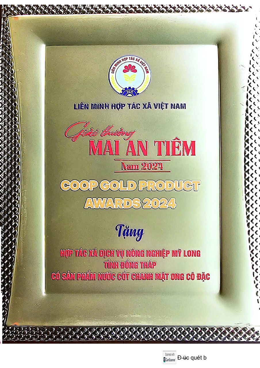 Giải thưởng Mai An Tiêm